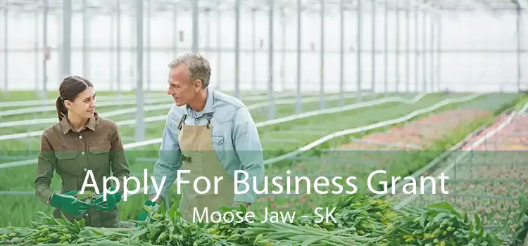 Apply For Business Grant Moose Jaw - SK